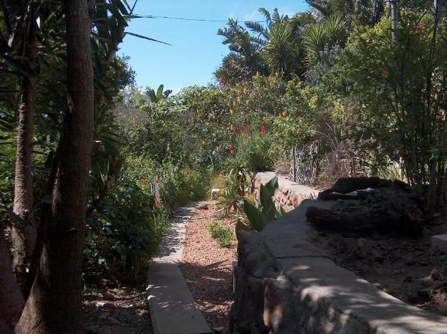 Rachel'S Home From Home Cape Town Bagian luar foto